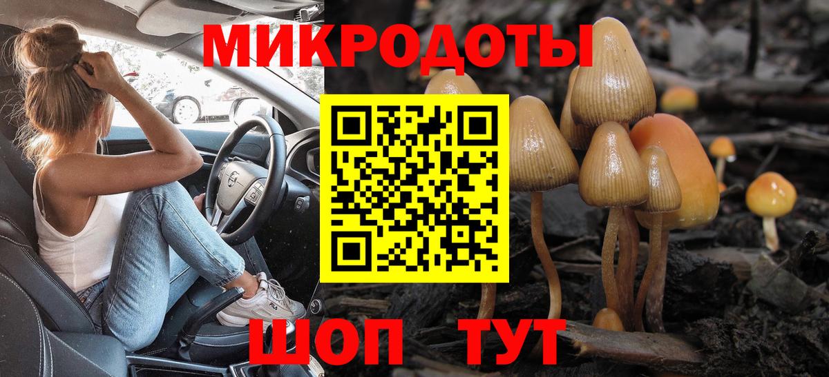 Псилоцибиновые грибы мицелий Тольятти